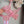 Set Jazmin